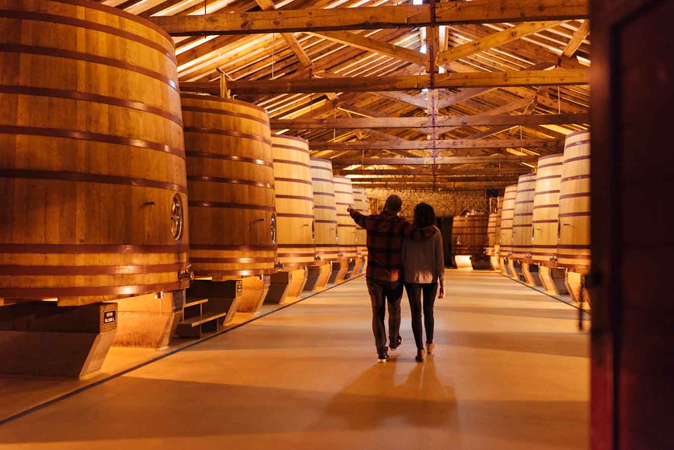 Two guided tours and an annual passport reinforce the select wine tourism offer of the District Station